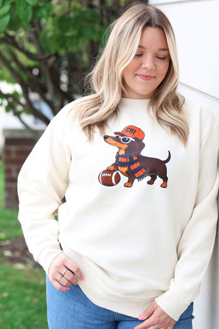 Dog in Scarf Sweatshirt