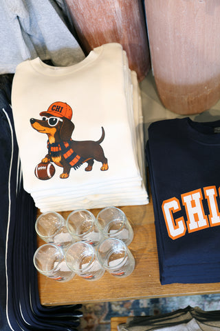 Dog in Scarf Sweatshirt