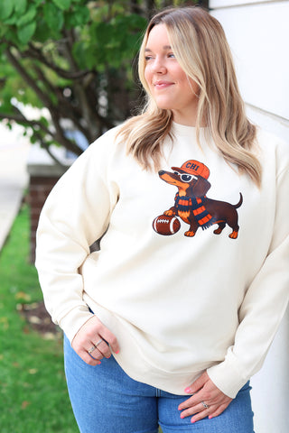 Dog in Scarf Sweatshirt