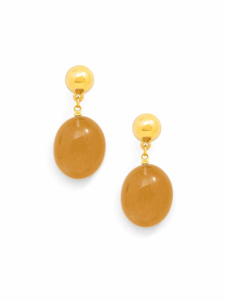 Glistening Drop Earrings - Brown