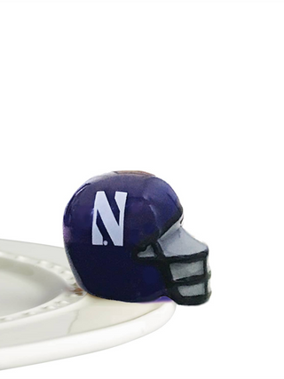 Northwestern Helmet